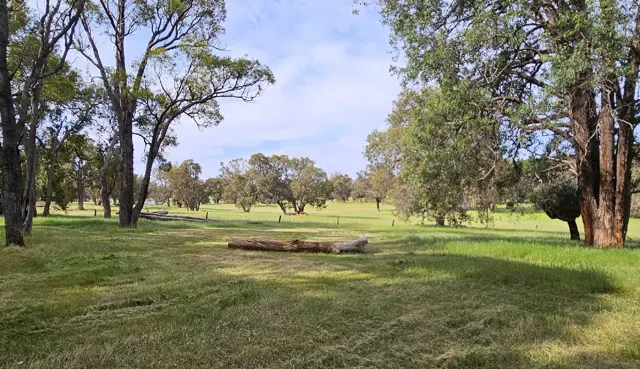 Jinjarra Homestead dog park photo 2