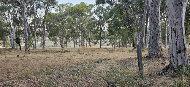 Jinjarra Homestead dog park photo 4
