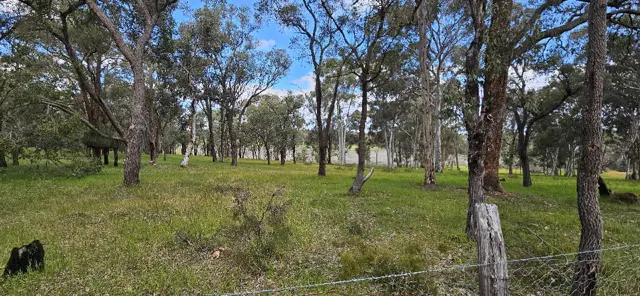 Jinjarra Homestead dog park photo 8