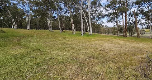 Jinjarra Homestead dog park photo 9