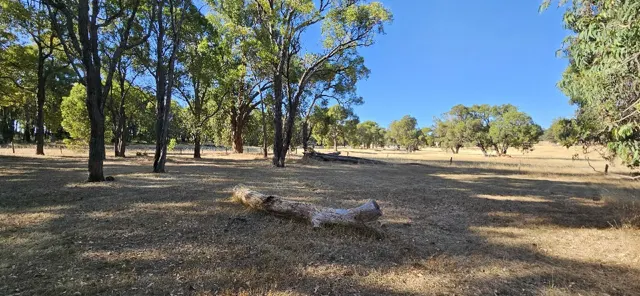 Jinjarra Homestead dog park photo 10