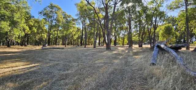 Jinjarra Homestead dog park photo 13