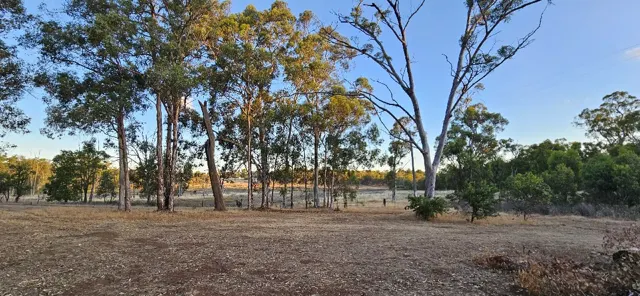 Jinjarra Homestead dog park photo 14