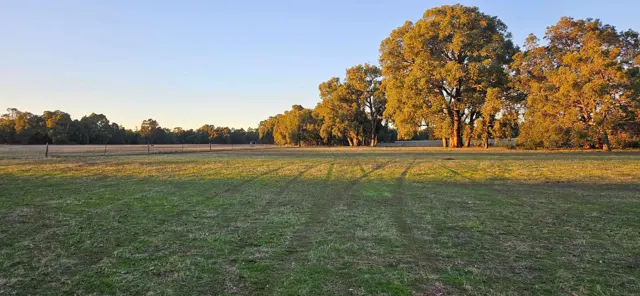 Jinjarra Homestead farm and camping photo 15