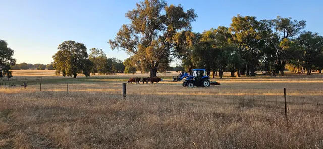 Jinjarra Homestead farm and camping photo 16