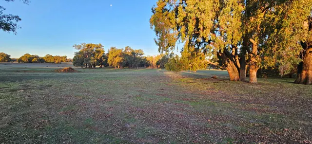Jinjarra Homestead farm and camping photo 17