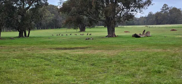 Jinjarra Homestead farm and camping photo 22