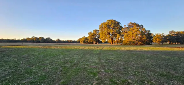 Jinjarra Homestead farm and camping photo 25