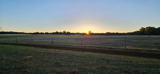 Jinjarra Homestead farm and camping photo 27
