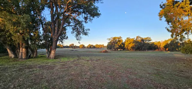 Jinjarra Homestead farm and camping photo 28