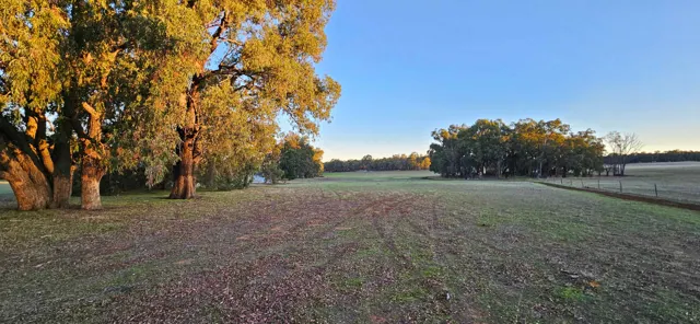 Jinjarra Homestead farm and camping photo 29