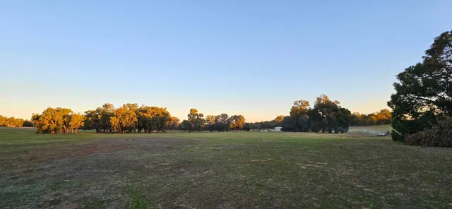 Jinjarra Homestead farm and camping photo 32