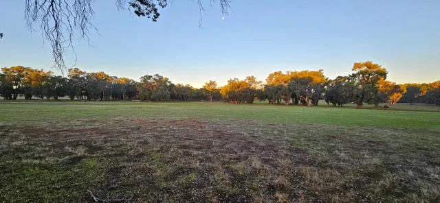 Jinjarra Homestead farm and camping photo 35