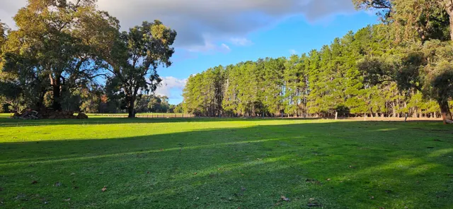 Jinjarra Homestead farm and camping photo 39