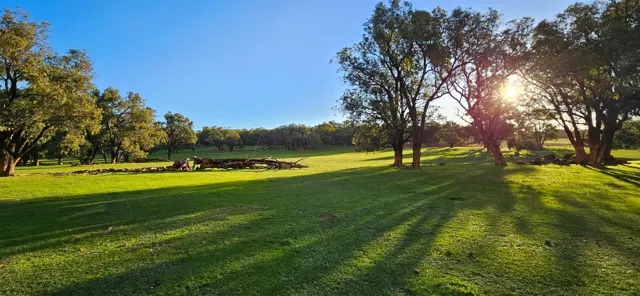 Jinjarra Homestead farm and camping photo 44