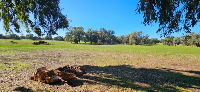 Jinjarra Homestead farm and camping photo 45