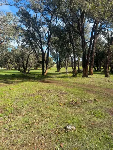Jinjarra Homestead farm and camping photo 52