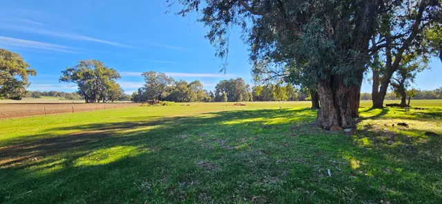 Jinjarra Homestead farm and camping photo 59