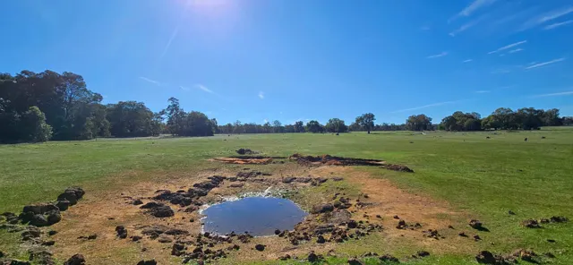 Jinjarra Homestead farm and camping photo 62