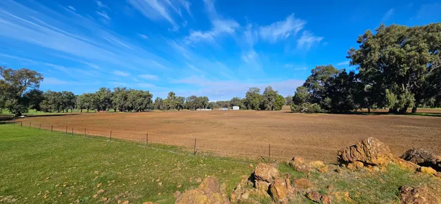Jinjarra Homestead farm and camping photo 63