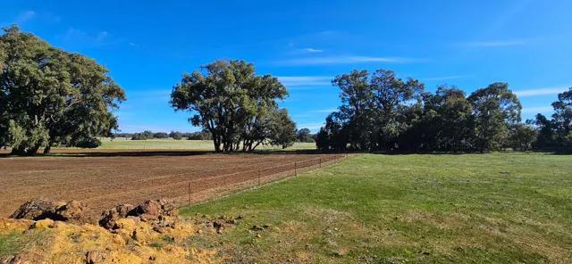 Jinjarra Homestead farm and camping photo 66