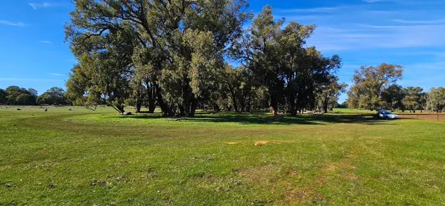 Jinjarra Homestead farm and camping photo 67