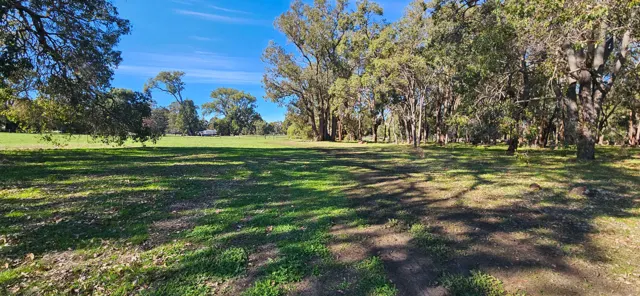 Jinjarra Homestead farm and camping photo 71