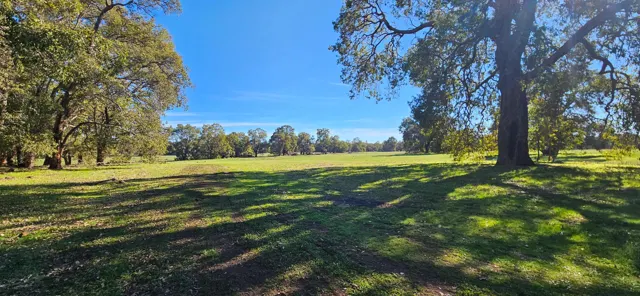 Jinjarra Homestead farm and camping photo 72