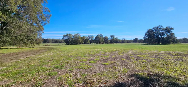 Jinjarra Homestead farm and camping photo 73