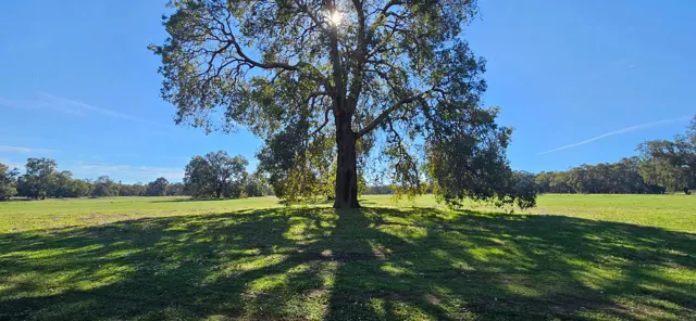 Jinjarra Homestead farm and camping photo 74