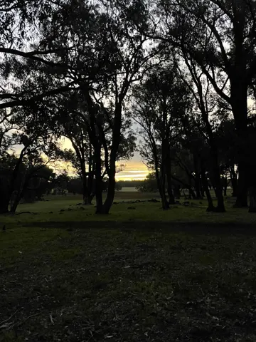 Jinjarra Homestead farm and camping photo 75
