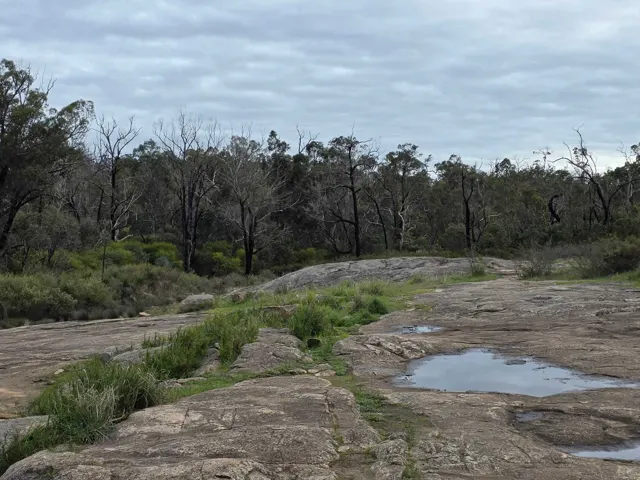 Jinjarra Homestead farm and camping photo 80