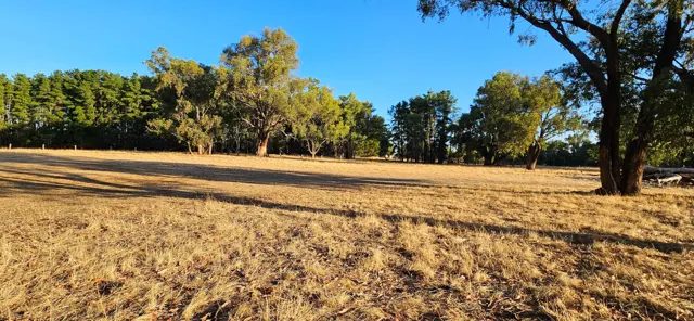 Jinjarra Homestead farm and camping photo 110