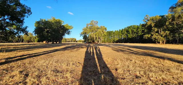 Jinjarra Homestead farm and camping photo 111