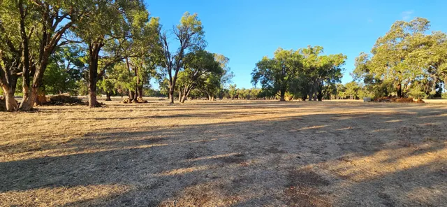Jinjarra Homestead farm and camping photo 112