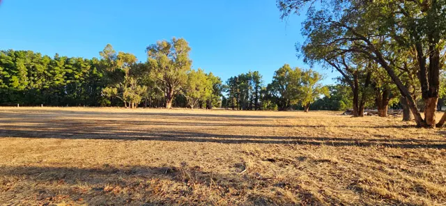Jinjarra Homestead farm and camping photo 113