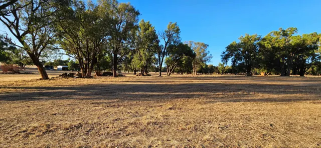 Jinjarra Homestead farm and camping photo 114
