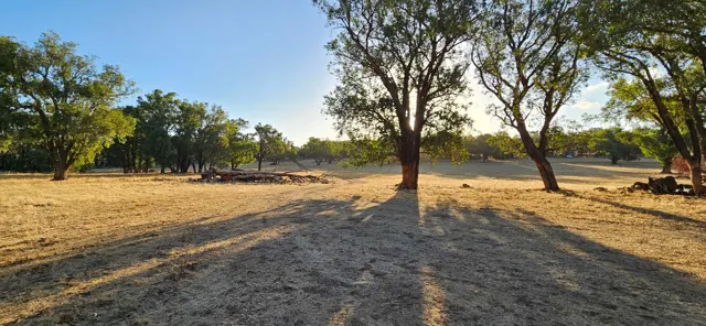 Jinjarra Homestead farm and camping photo 116