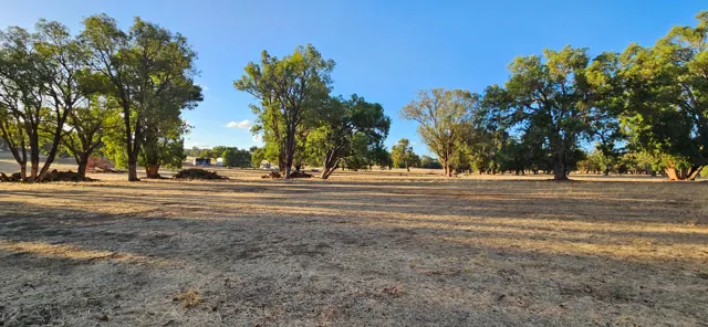 Jinjarra Homestead farm and camping photo 119