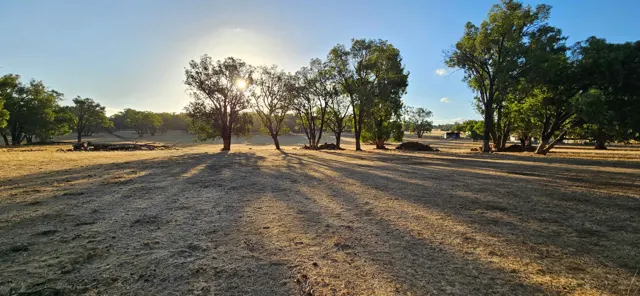 Jinjarra Homestead farm and camping photo 120