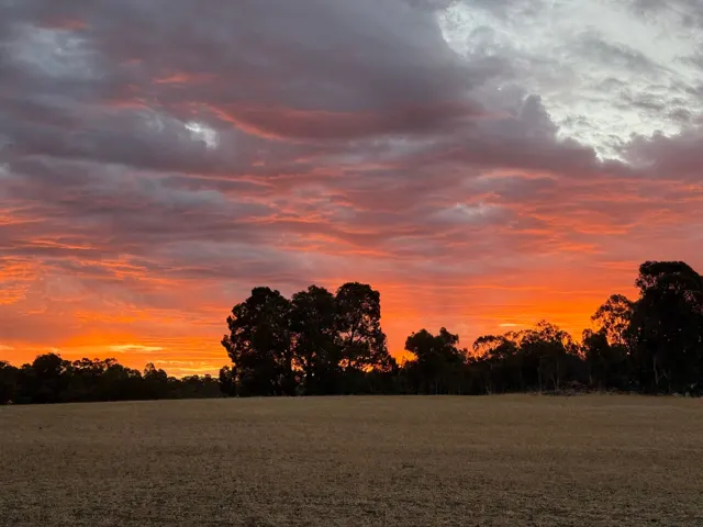 Jinjarra Homestead farm and camping photo 125