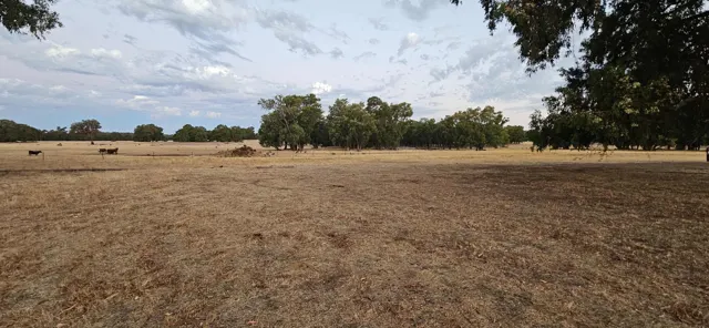 Jinjarra Homestead farm and camping photo 128