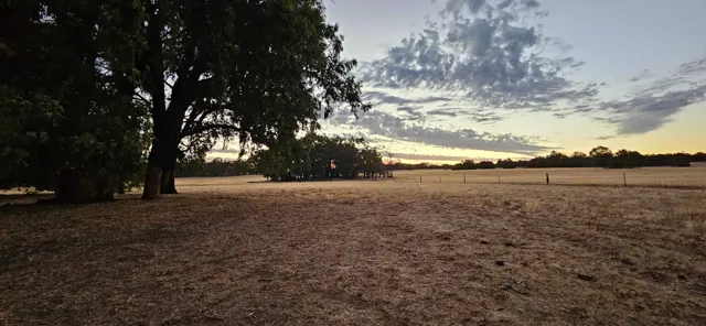 Jinjarra Homestead farm and camping photo 129