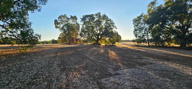 Jinjarra Homestead farm and camping photo 131