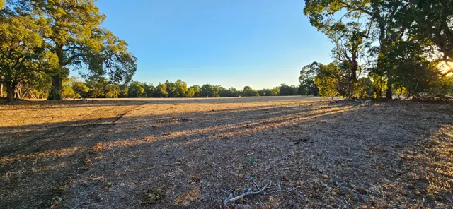 Jinjarra Homestead farm and camping photo 132