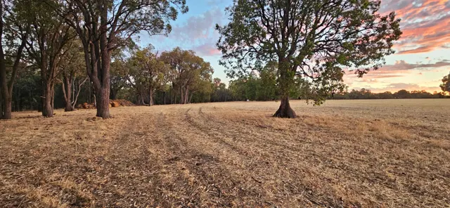 Jinjarra Homestead farm and camping photo 136