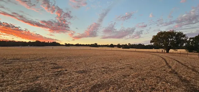Jinjarra Homestead farm and camping photo 137